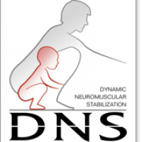 logo_dns.png